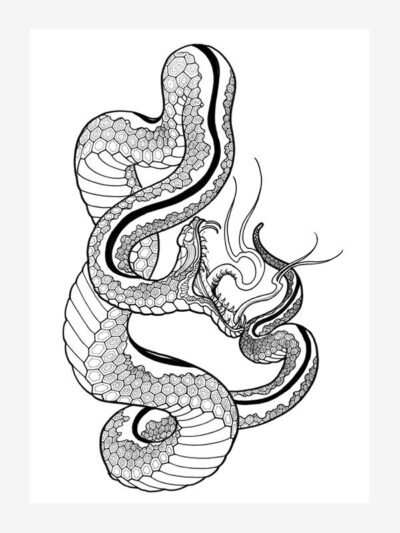 Garden Variety Snakes by Ben Lucas