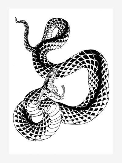Garden Variety Snakes by Ben Lucas