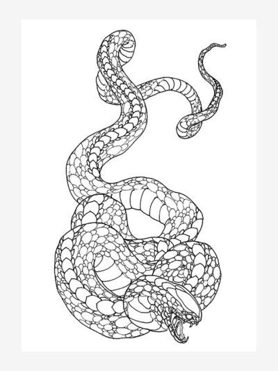 Garden Variety Snakes by Ben Lucas