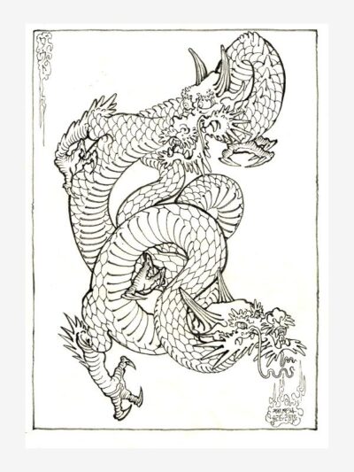Dragons by Jordie Doubt